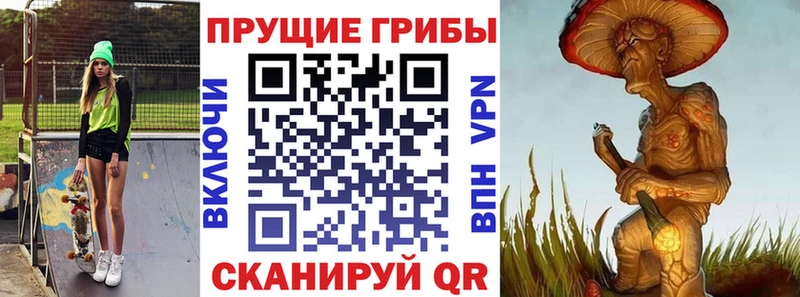 omg ссылка  купить наркотики сайты  Пугачёв  Галлюциногенные грибы мицелий 